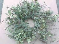 Mossy Oak Wreaths